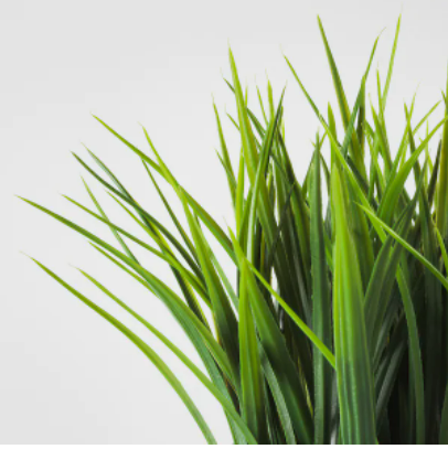 Artificial potted plant, Grass