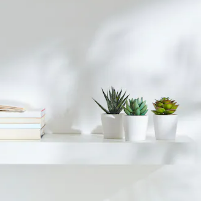 Artificial potted plant / 3 pack