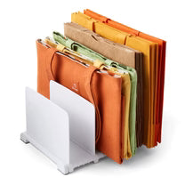 StoraBag Reusable Bag Organizer