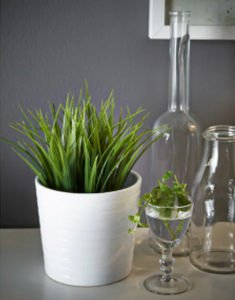 Artificial potted plant, Grass