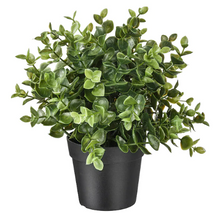Load image into Gallery viewer, Artificial potted plant, Oregano
