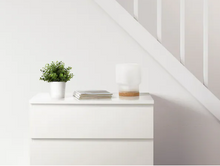Load image into Gallery viewer, Artificial potted plant, Oregano
