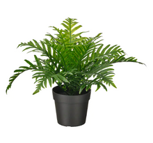 Load image into Gallery viewer, Artificial potted plant, Whitley Giant

