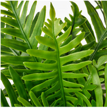 Load image into Gallery viewer, Artificial potted plant, Whitley Giant

