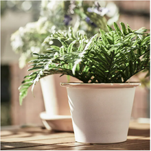Load image into Gallery viewer, Artificial potted plant, Whitley Giant
