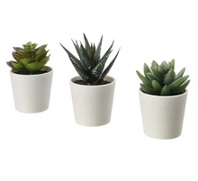 Load image into Gallery viewer, Artificial potted plant / 3 pack
