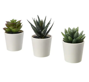 Artificial potted plant / 3 pack
