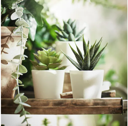Artificial potted plant / 3 pack